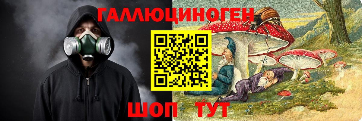 Псилоцибиновые грибы GOLDEN TEACHER  Псилоцибиновые грибы мухоморы  Иркутск  Вход с VPN 