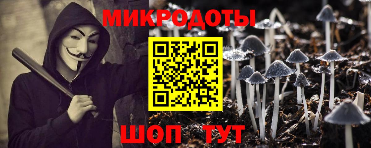 Псилоцибиновые грибы Cubensis Иркутск